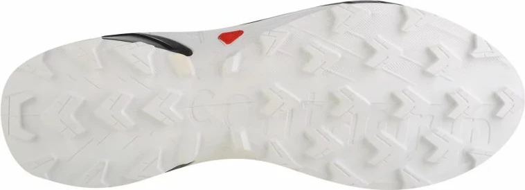 Tekmovalne tekaške atlete, Salomon, modre