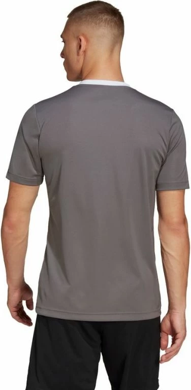 Majica za moške, adidas Entrada 22 Jersey HE1574, siva
