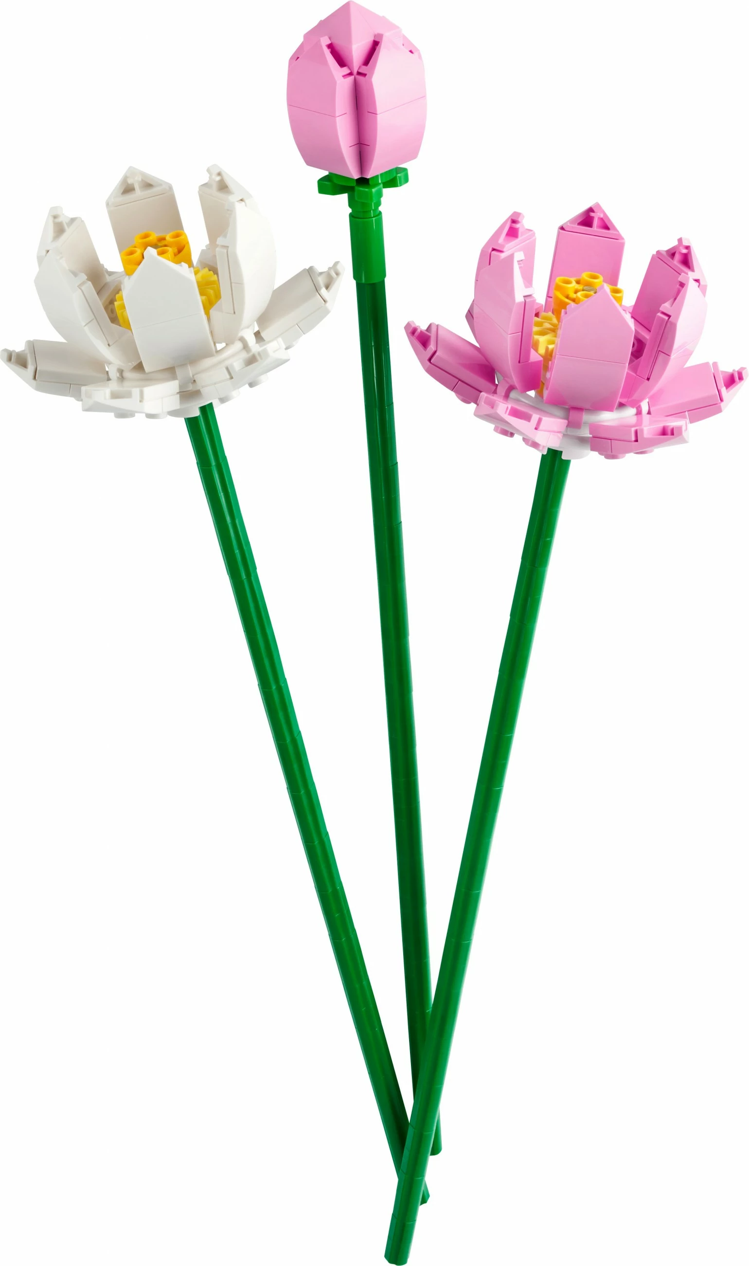Set za sestavljanje Lotus Flowers, LEGO, 220 kosov, plastika, večbarven
