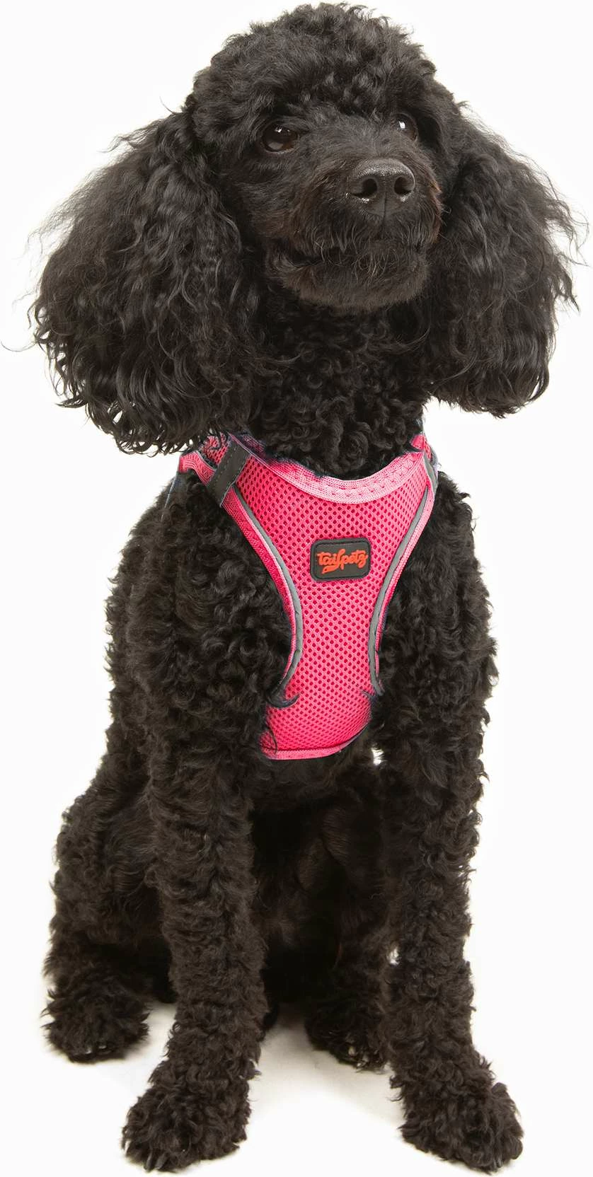 Oprsnica za psa, Air-Mesh, Neo Pink, Paws & Whiskers