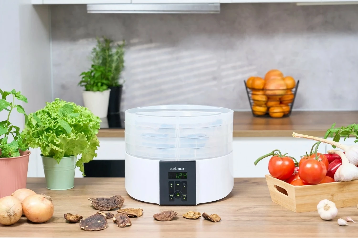 Sušilnik hrane Zelmer ZFD2020, bel