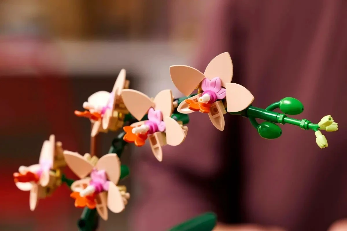 Mini orhideja, LEGO ICONS 10343 The Botanical Collection