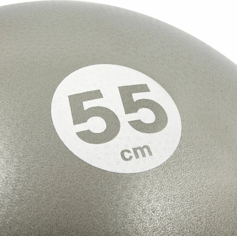 Gimnastična žoga 55 cm, Reebok, siva/srebrna