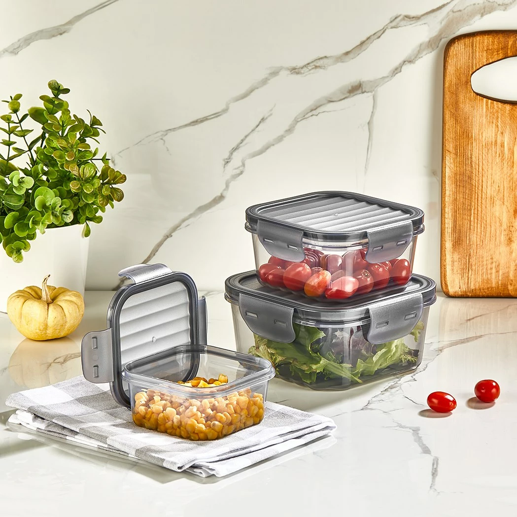 Set škatel za organizacijo (3 kosi), Hermia Concept, L-00860, prozoren