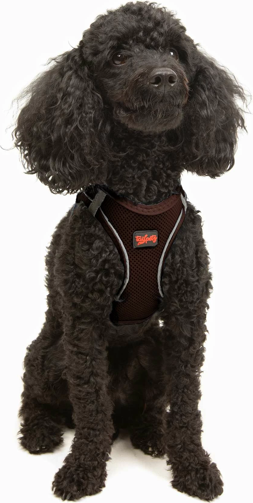 Oprsnica iz air-mesh materiala, rjava, Paws & Whiskers