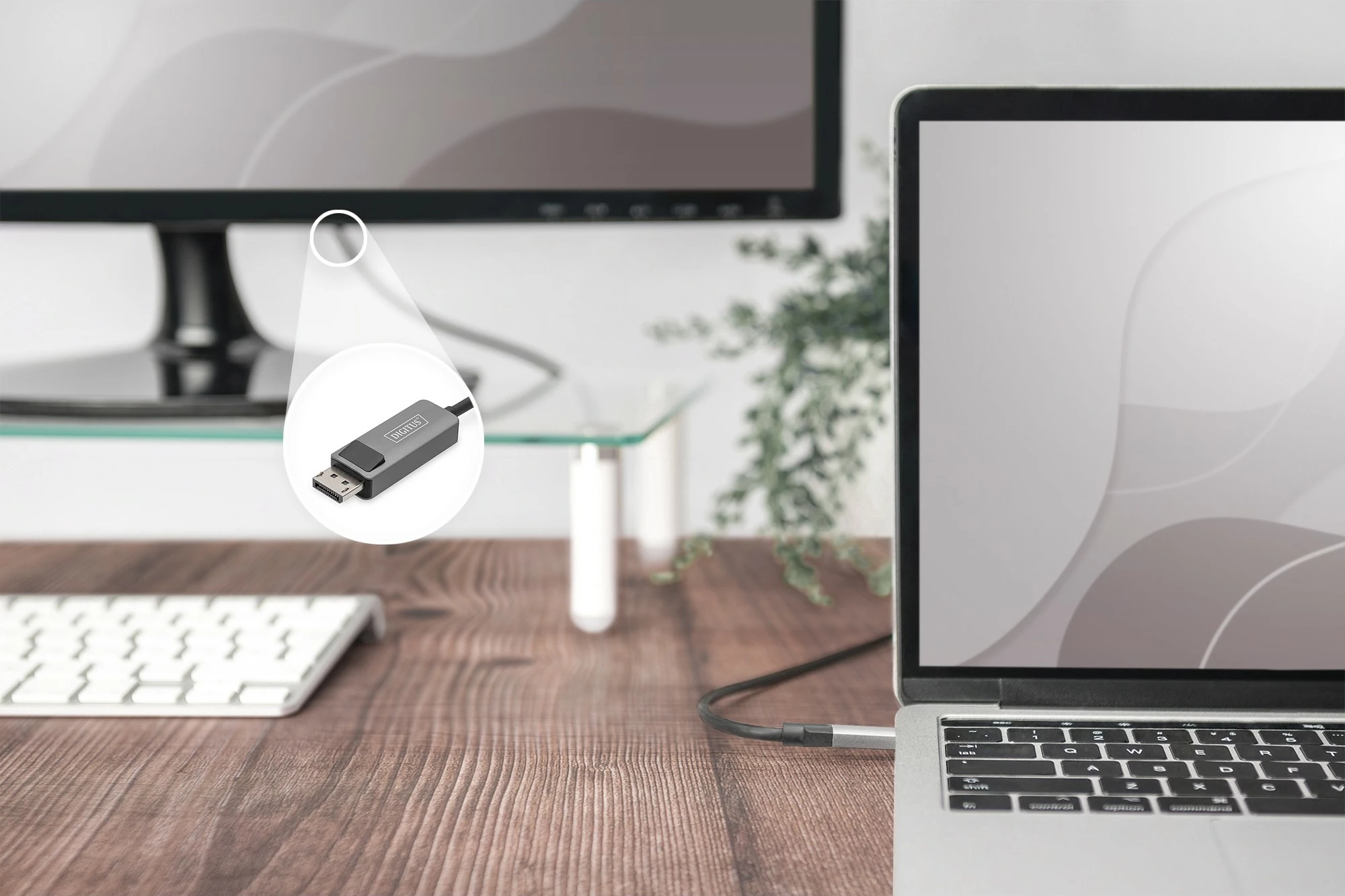 Kabel USB Type-C na DisplayPort Digitus 2 m, 8K, črn