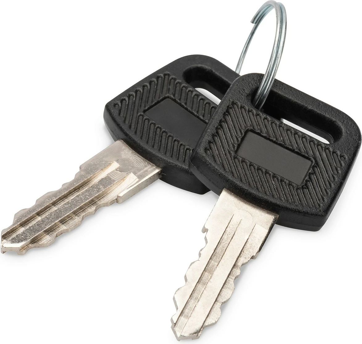Ključi za omaro za omrežno opremo Digitus DN-KEY-WM, 2 kosa, črno/srebrno
