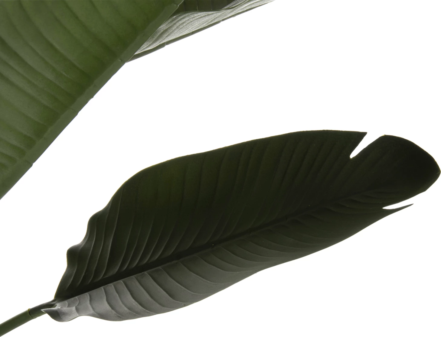 Dekorativna sintetična rastlina v loncu FH7981 Strelitziaceae Φ17x14,5-137Hcm