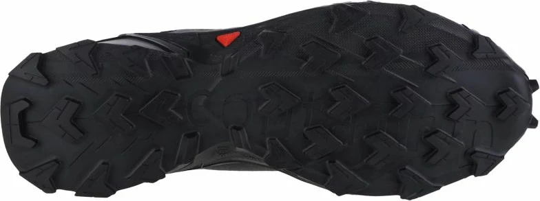 Tekaška obutev za moške Salomon Alphacross 5 GTX, črna