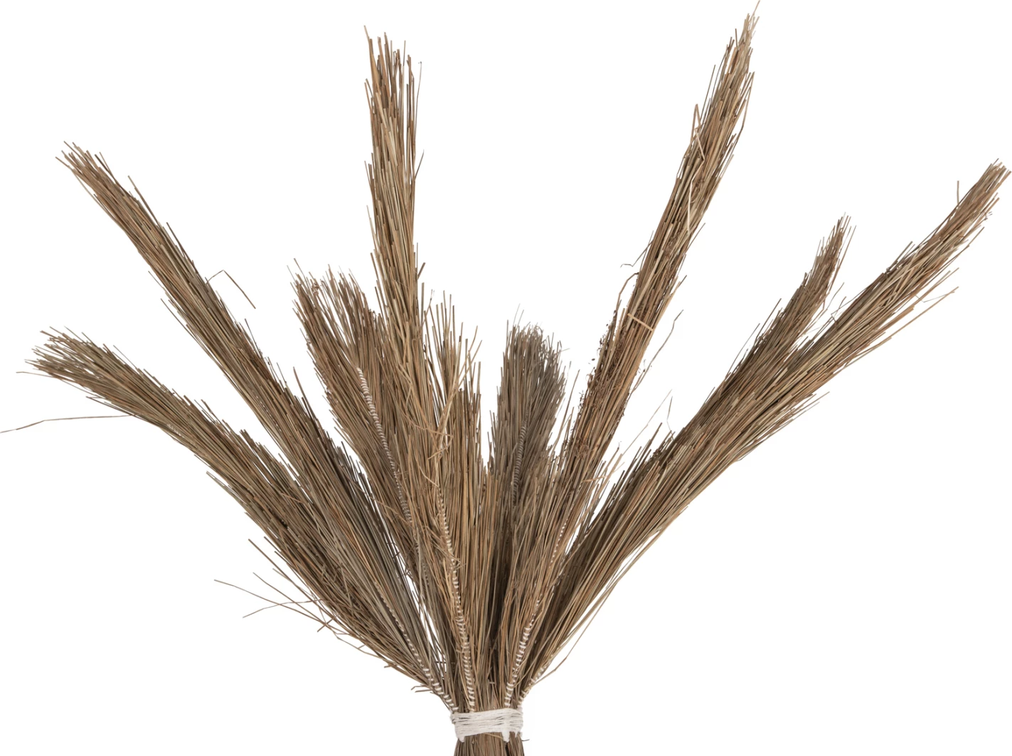 Dekorativno drevo tropic FH4324 v stilu kokosa iz mendong trave 280Hcm