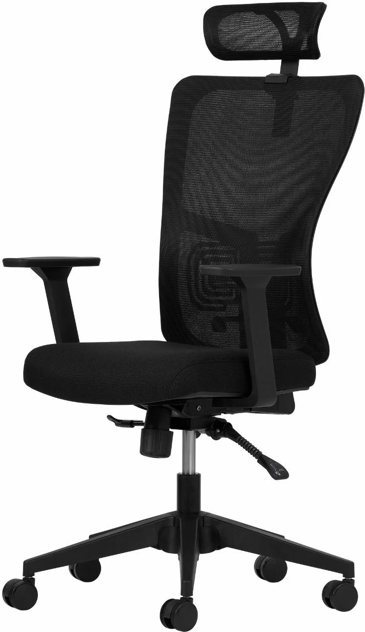 Ergonomski pisarniški stol, črn, Skye Decor, 126 cm