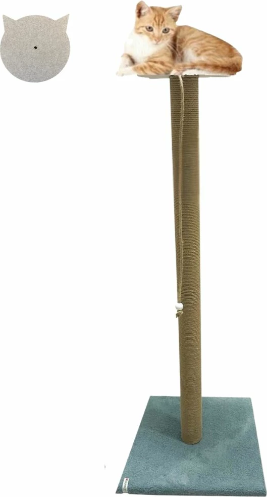 Praskalna deska za mačke Axel, turkizna