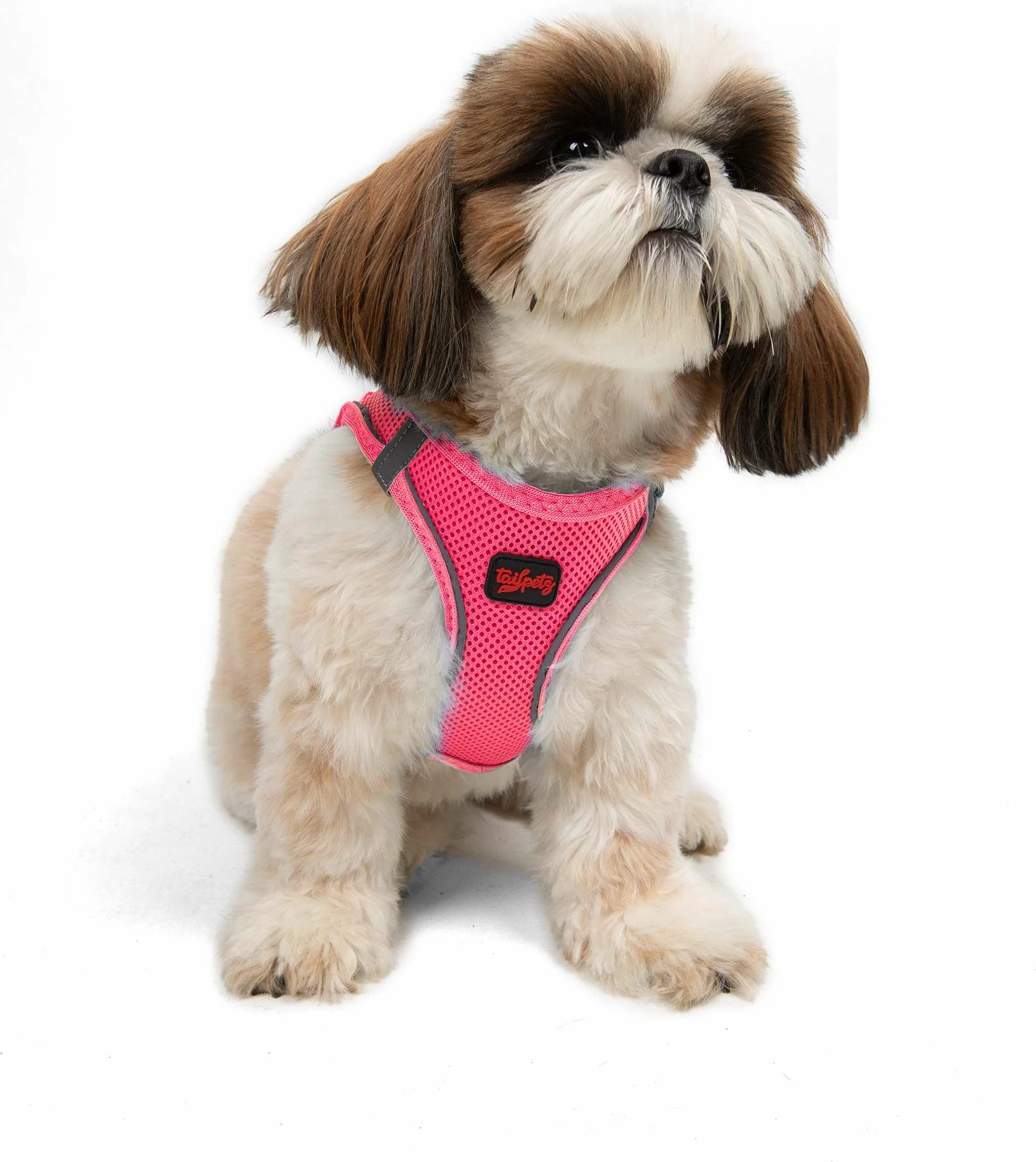 Oprsnica za psa, Air-Mesh, Neo Pink, Paws & Whiskers