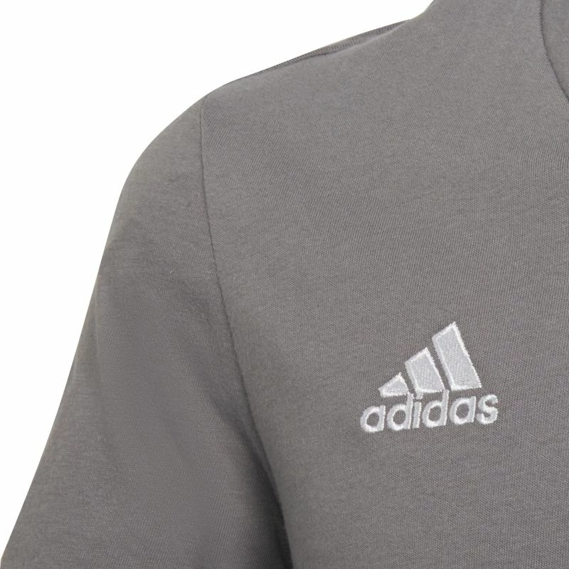 Športna majica za otroke Entrada 22, adidas, siva