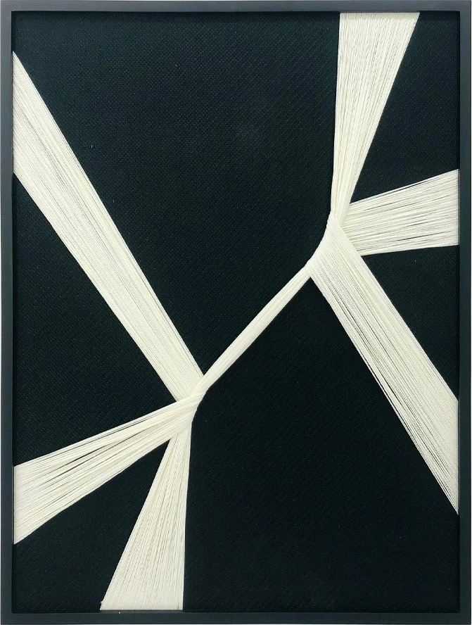 Dekorativna slika Gentle Whispers, les, bele in črne niti, 60x80x3 cm