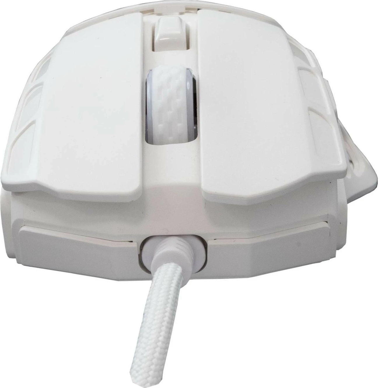 Gaming miška White Shark Ector GM-5016, 12400 DPI, RGB, bela