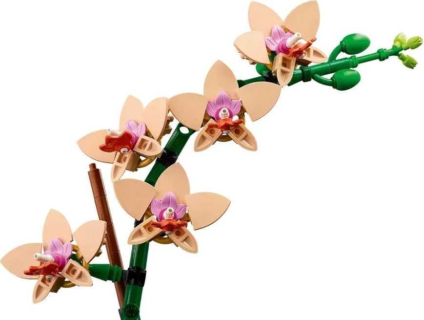 Mini orhideja, LEGO ICONS 10343 The Botanical Collection