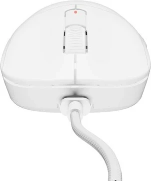 Ergonomski RGB miška Fury Tanto T4, bela