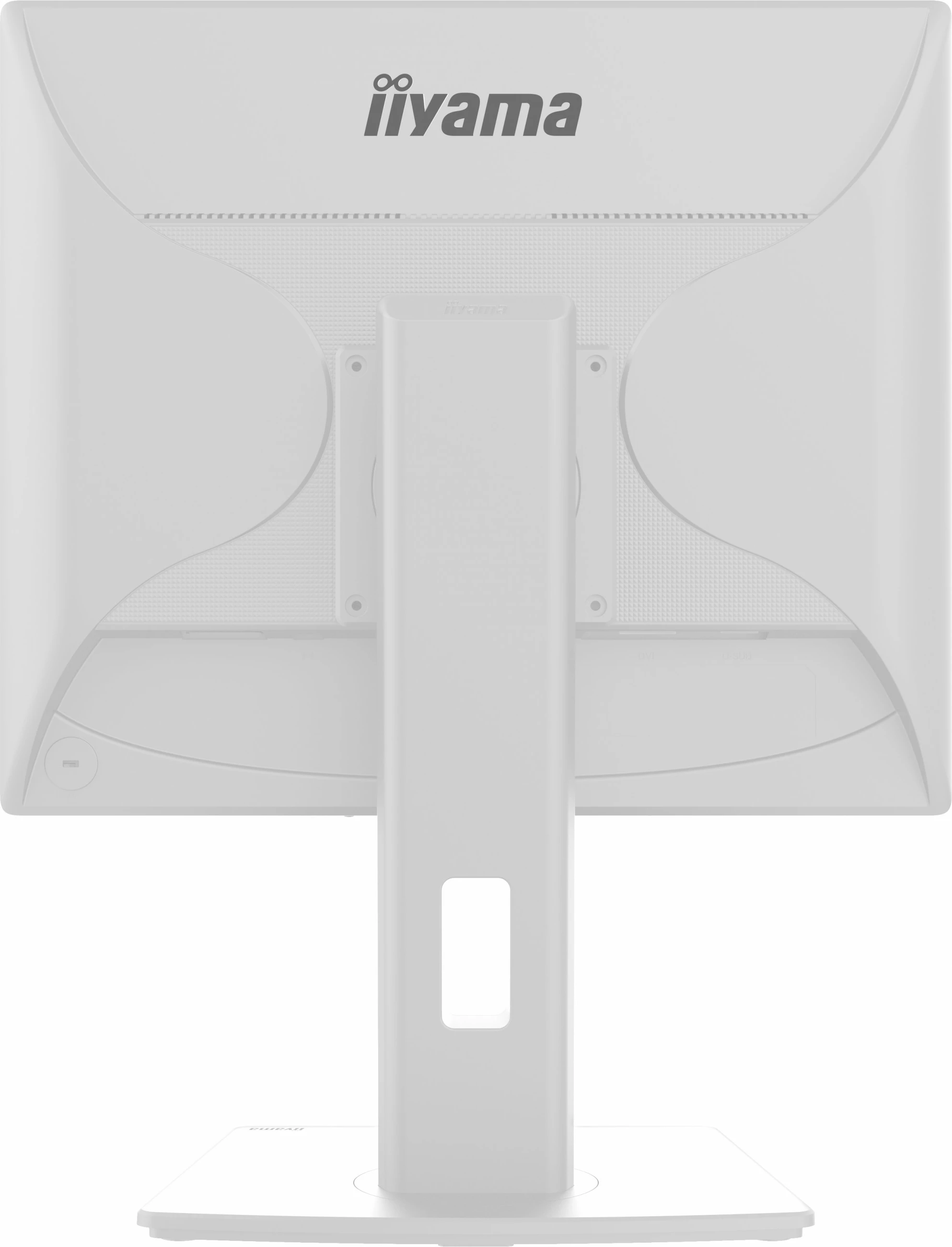 Monitor 19-palčni iiyama ProLite B1980S-W1, LED, 1280 x 1024, bel