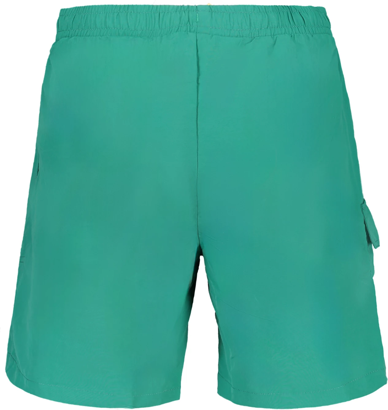 Moške kopalne hlače FILA Salerno, zelene