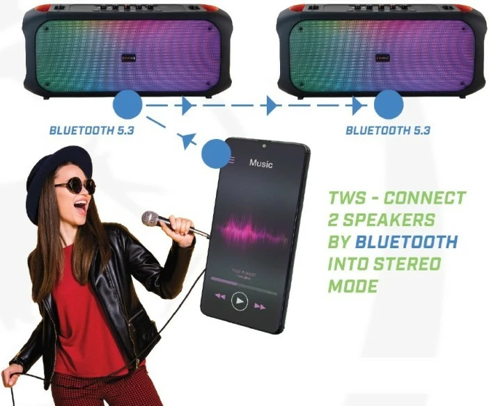 Prenosni zvočnik Rebeltec SoundBox 650, Bluetooth, 80 W, črn