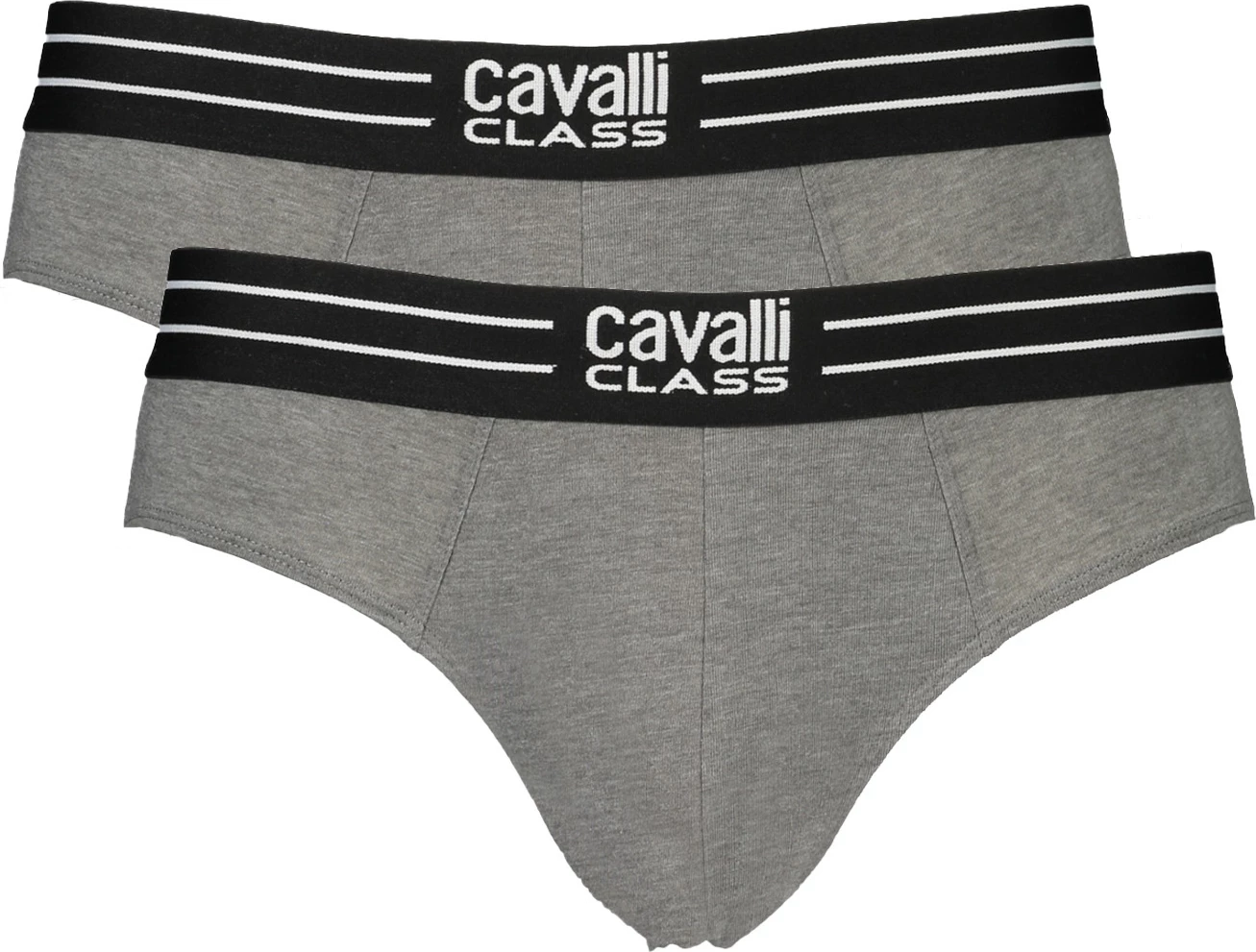 Spodnje perilo za moške CAVALLI CLASS, sivo