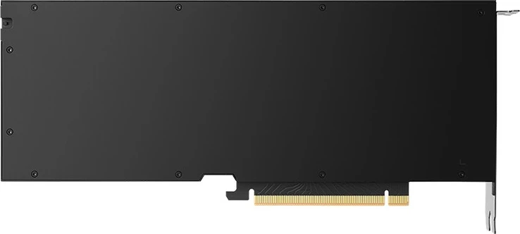 Grafična kartica 24 GB GDDR6 PNY RTX 4500 Ada, črna