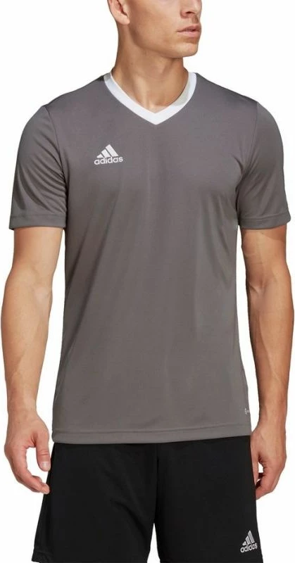 Majica za moške, adidas Entrada 22 Jersey HE1574, siva