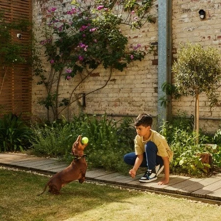 Senzor za gibanje za zunaj, infrardeč, brezžičen, črn Yale