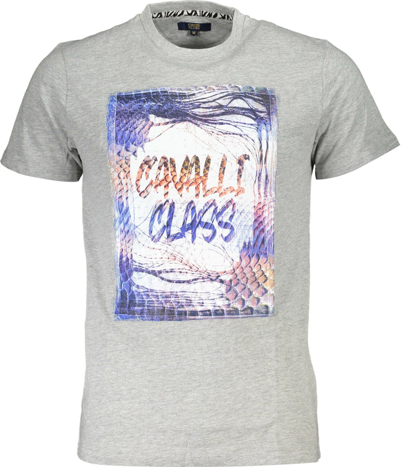 Majica za moške z kratkimi rokavi, Cavalli Class, siva
