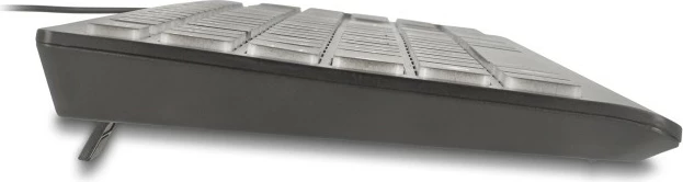 Mehanska tipkovnica DeLOCK 12170, USB, QWERTZ, RGB LED, črna