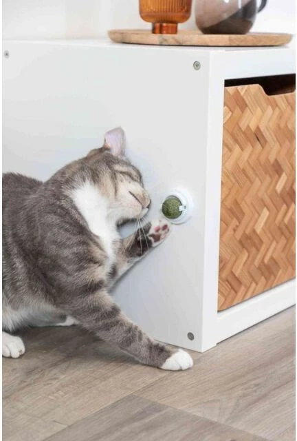 Top z mačjim zelenjem TRIXIE, zelen, premer 5 cm