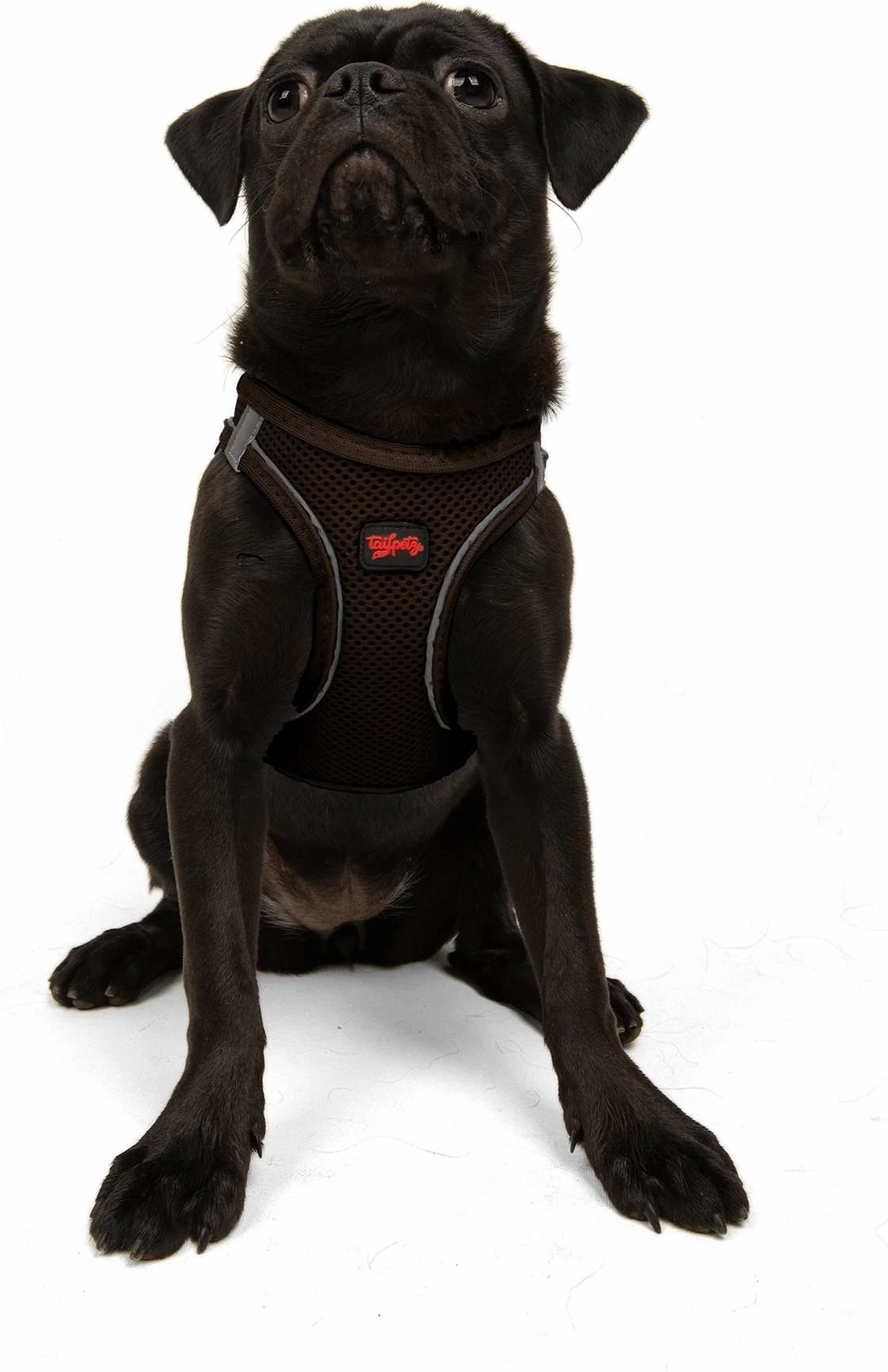 Oprsnica iz air-mesh materiala, rjava, Paws & Whiskers