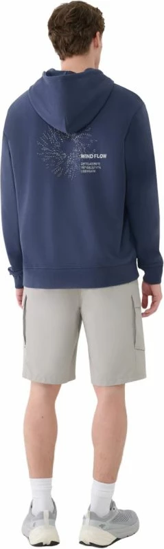 Šorce za moške 4F, sivi