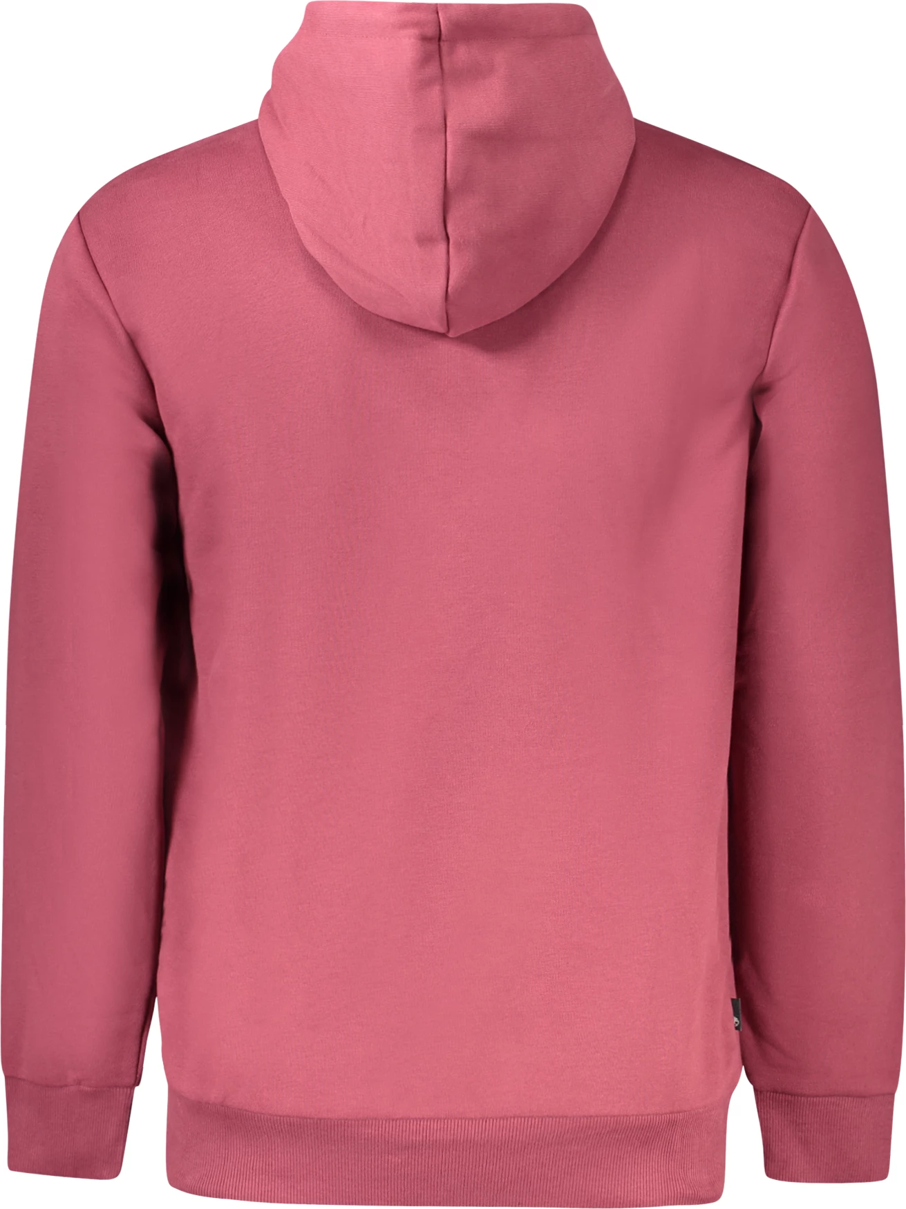 Duks, purpurast, Timberland za moške