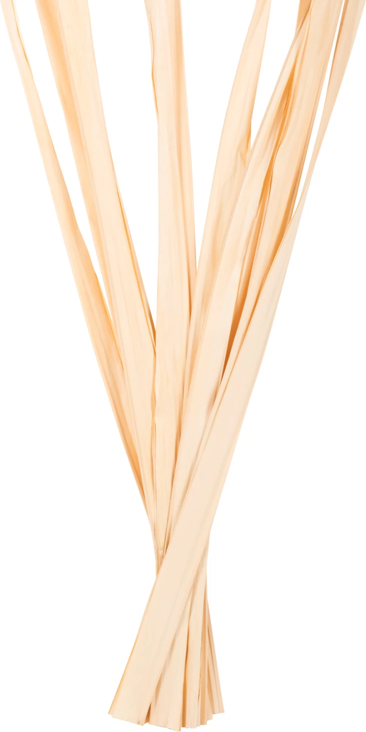 Dekorativni šopek iz posušenih listov meča FH7964 10 kosov naravni 120H cm