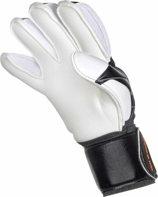 Rokavice za vratarja za otroke Select, bele in črne