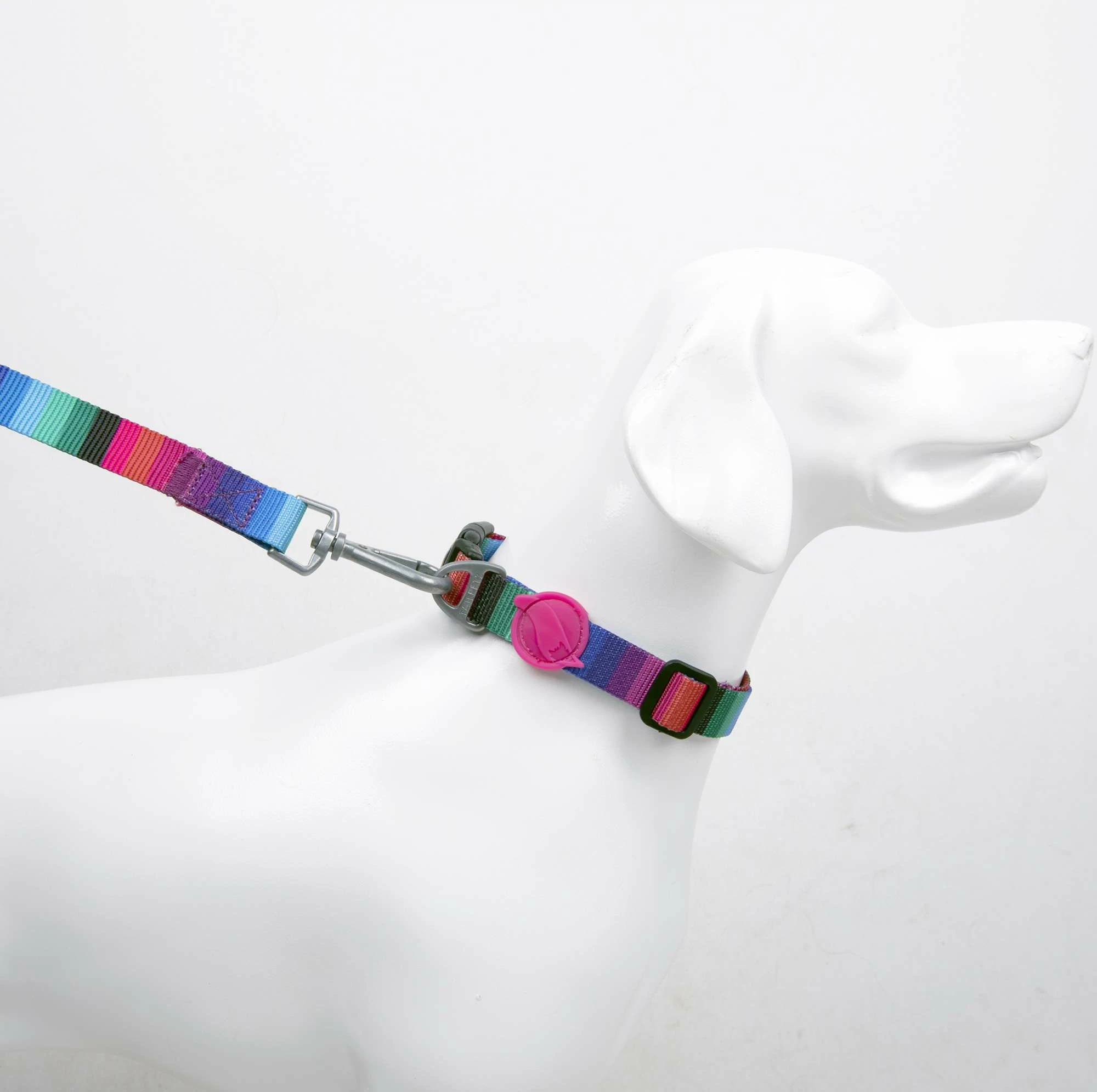 Ovratnik za psa, večbarven, Wave, Paws & Whiskers, XS/S