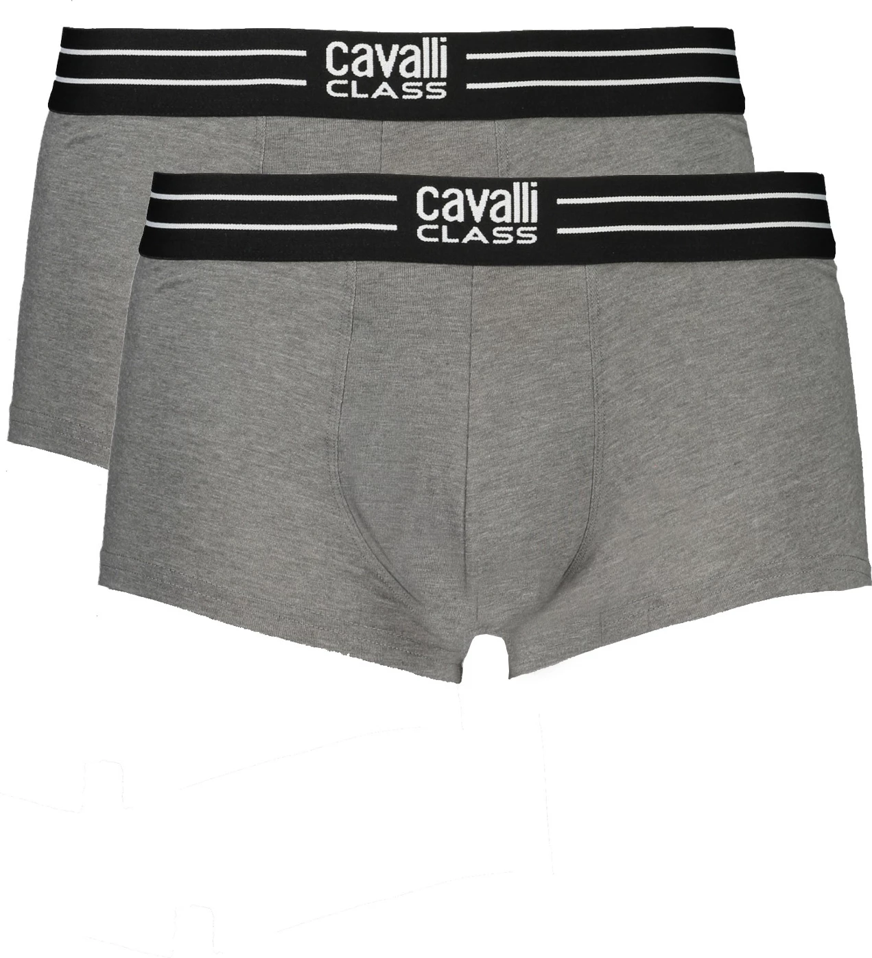 Spodnje perilo za moške Cavalli Class Boxer, siv