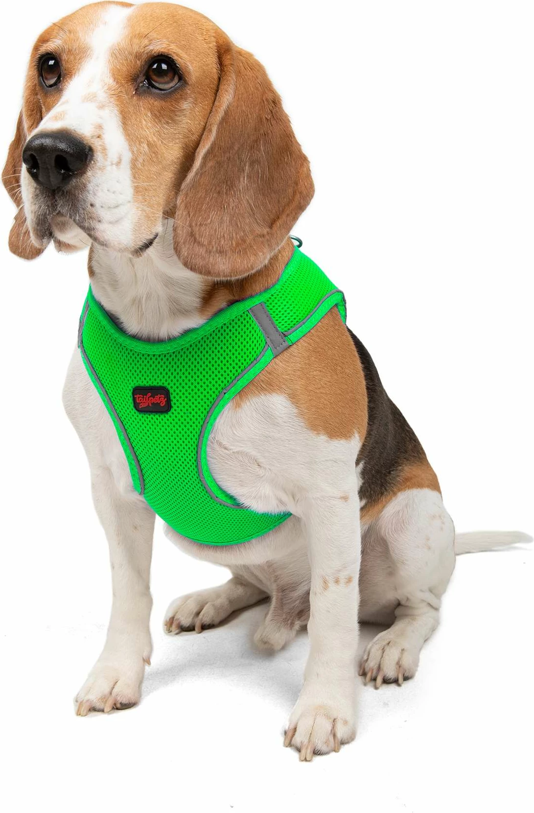 Oprsnica za psa Air-Mesh, Neo Green, Paws & Whiskers