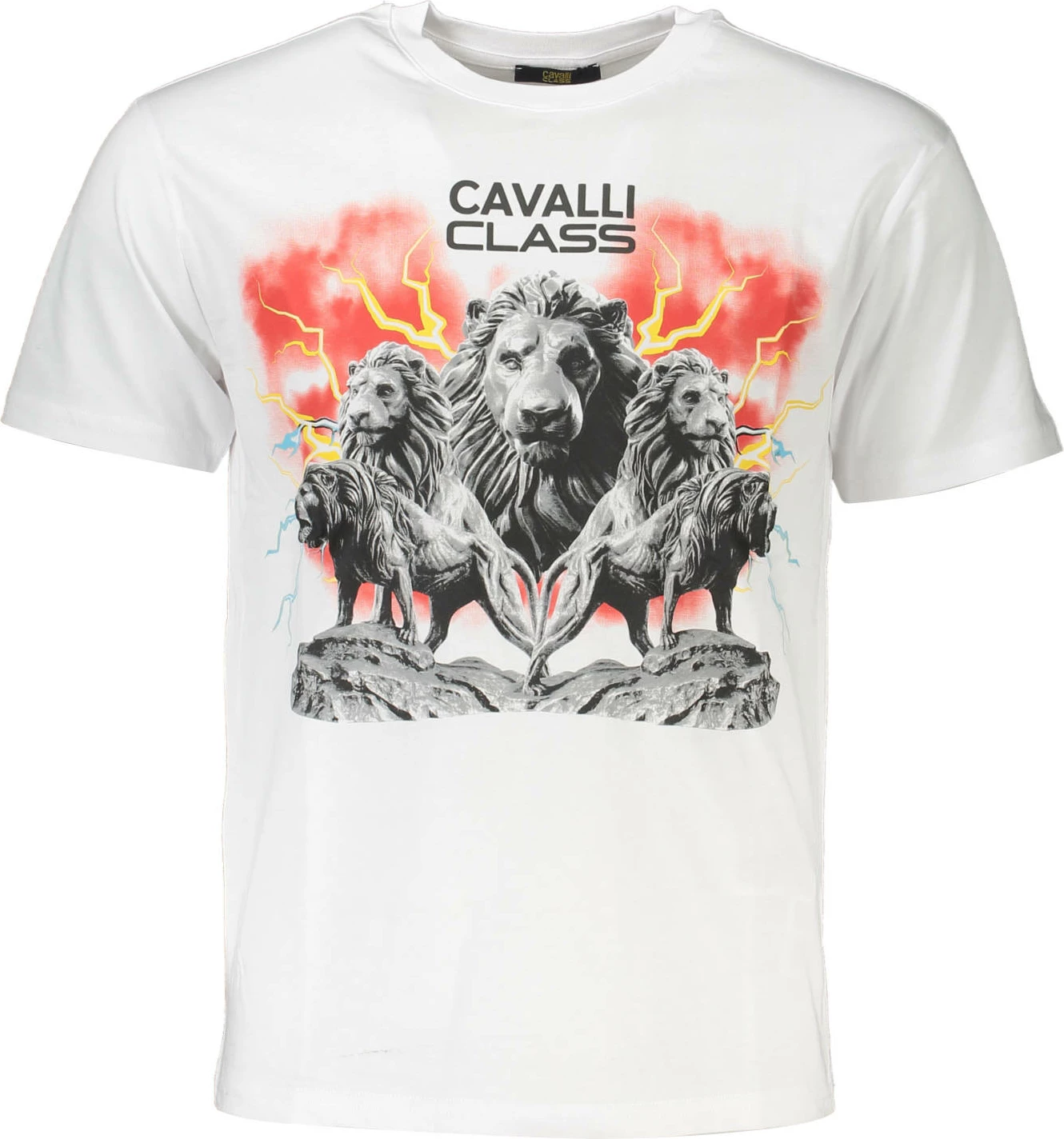 Majica za moške, CAVALLI CLASS, bela