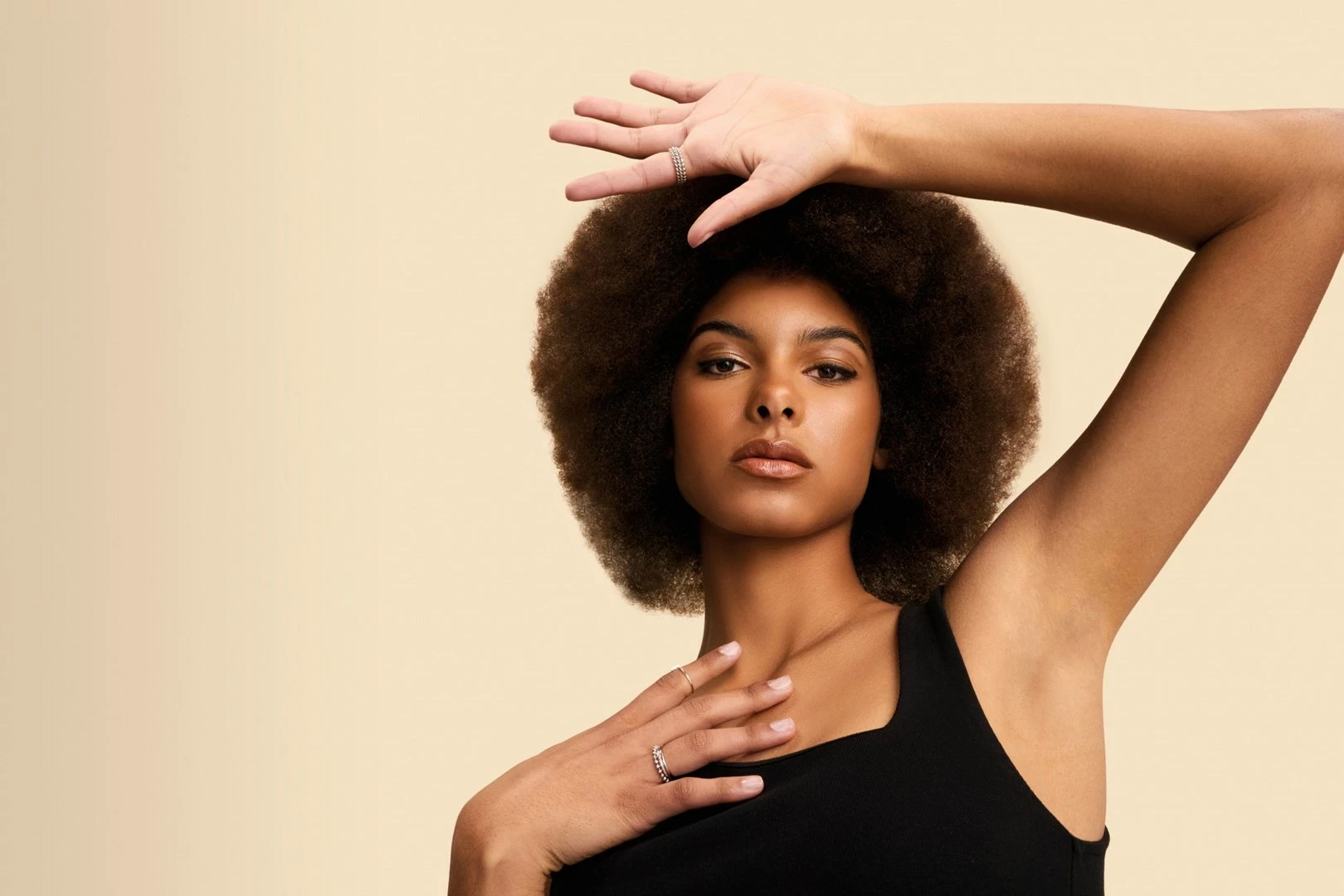 Multistyler Shark HD333EU, bel