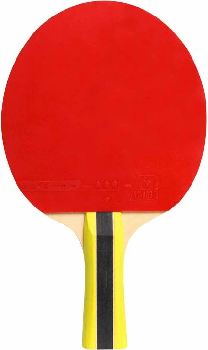 Raketa za namizni tenis Cornilleau