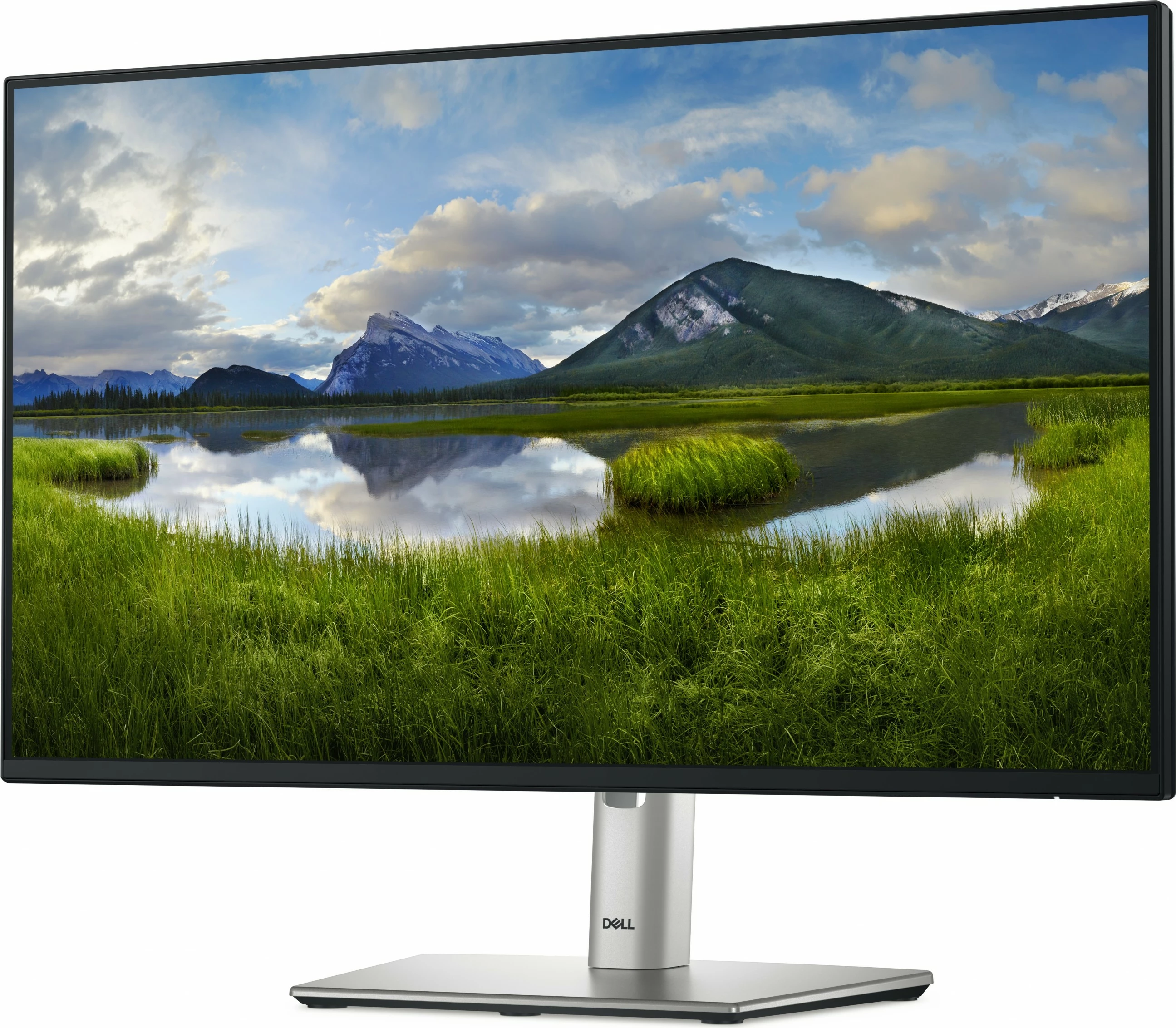 24" zaslon Full HD, Dell P Series P2425HE, črn
