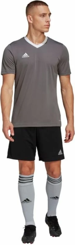 Majica za moške, adidas Entrada 22 Jersey HE1574, siva