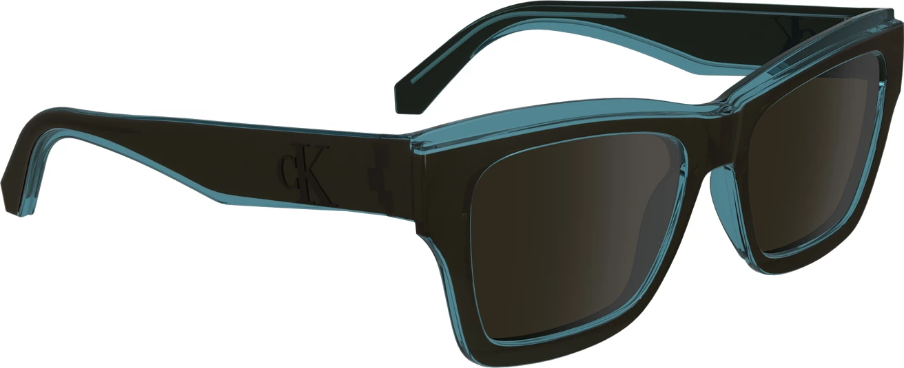 Sončna očala za moške Calvin Klein, rjava