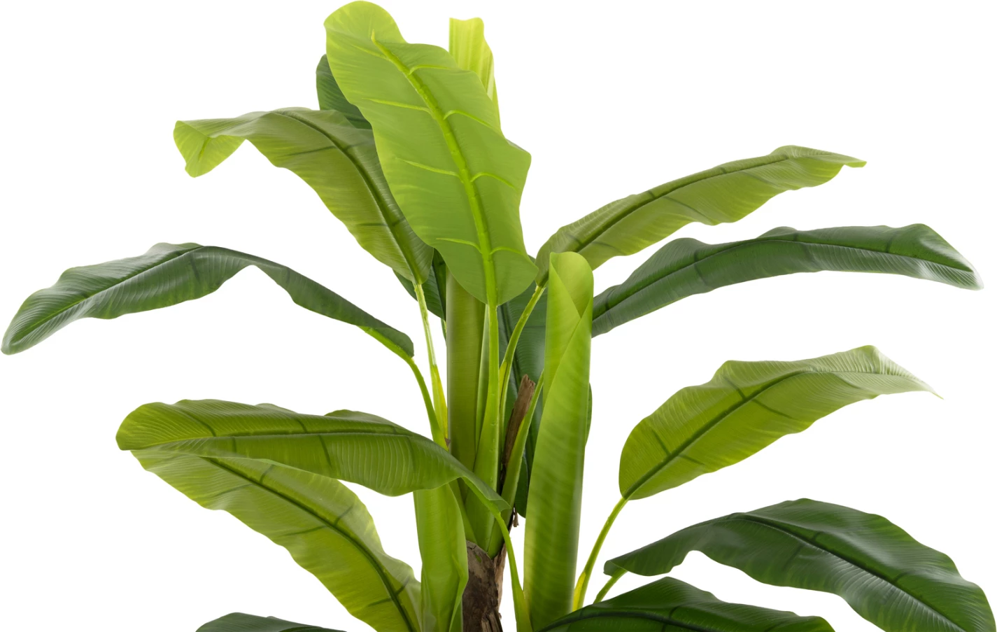 Dekorativna sintetična rastlina FH7968 bananovec v loncu 123H cm