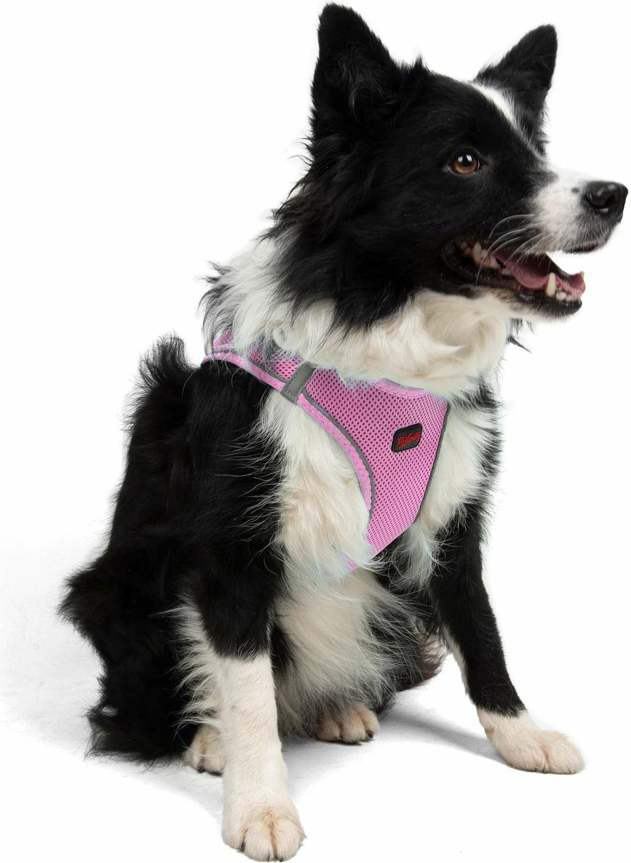 Oprsnik za psa, lilasto, Air-Mesh - Paws & Whiskers