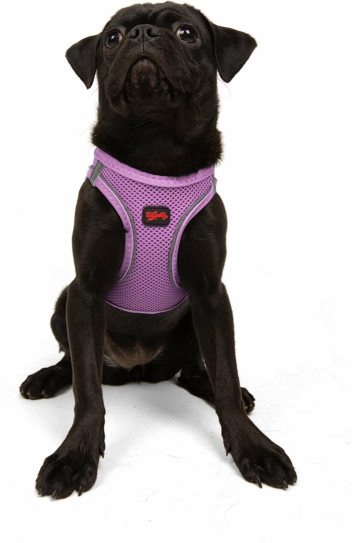 Oprsnik za psa, lilasto, Air-Mesh - Paws & Whiskers