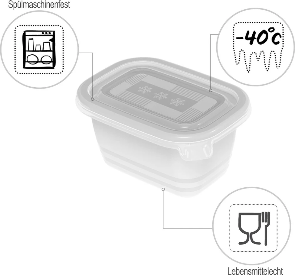 Posode za zamrzovanje, Rotho Freeze, 6x250 ml, prozorne